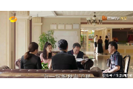 闽侯清数公司排名：揭秘福建地区数据分析领域的佼佼者