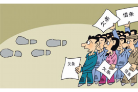 面试信盟科技催收：揭秘催收行业的职场新机遇