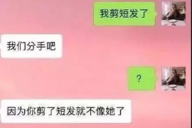 河池债务催收公司：专业解决债务纠纷的关键力量