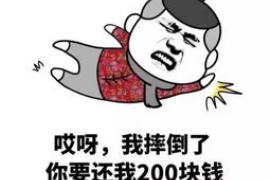 追讨债务诉讼怎么判刑？——法律视角下的债务追讨之路